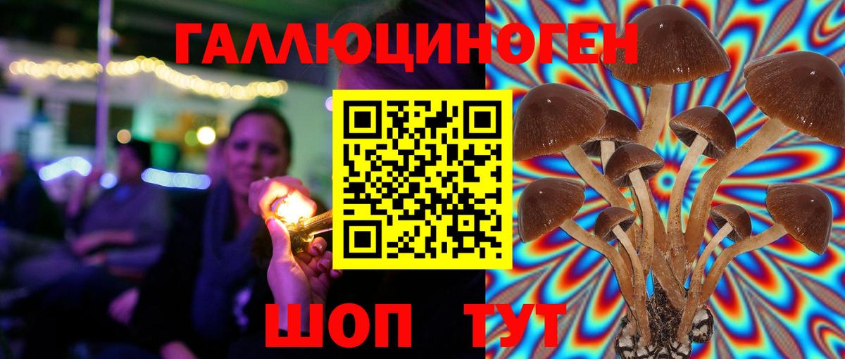Галлюциногенные грибы Psilocybine cubensis Куйбышев