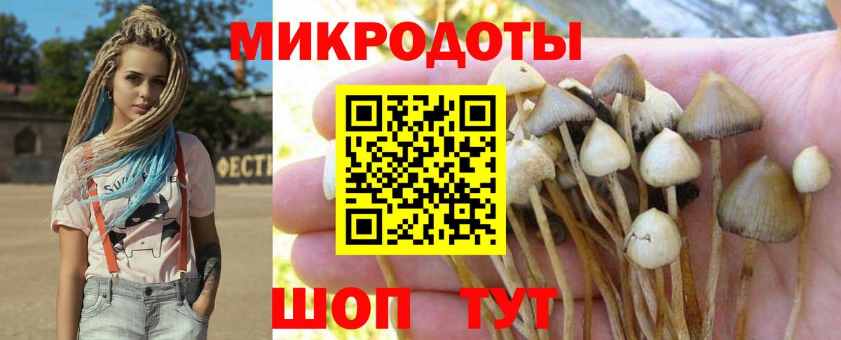 Псилоцибиновые грибы мухоморы  Вход с VPN  Псилоцибиновые грибы мицелий  наркошоп  Куйбышев 
