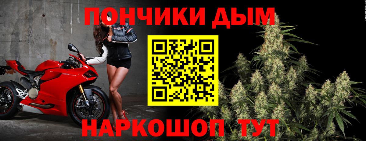 Конопля Amnesia  Бошки Шишки AK-47  Куйбышев  Вход с VPN  Каннабис план 